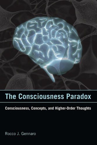 Couverture : The Consciousness Paradox