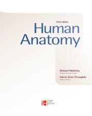 Couverture : Human Anatomy