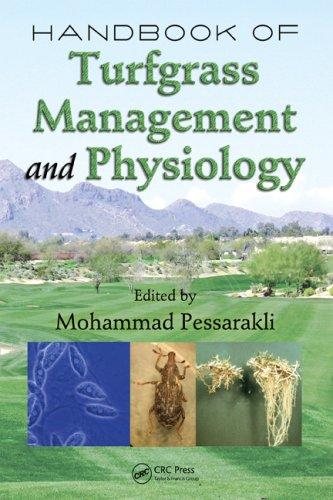Couverture : Handbook of Turfgrass Management and Physiology (Books in Soils, Plants, and the Environment)