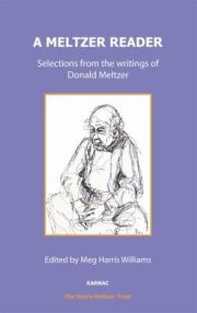 Couverture : A Meltzer Reader Selections From The Writings Of Donald Meltzer