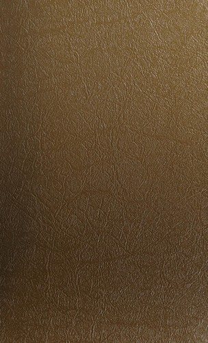 Couverture : Le recommencement du monde
