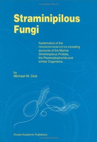 Couverture : Straminipilous Fungi