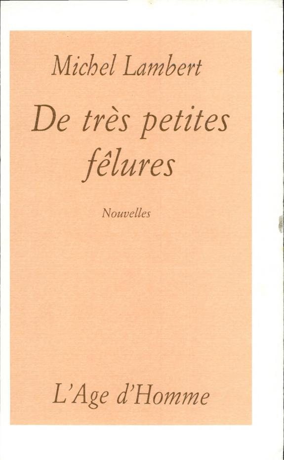 Couverture : De très petites fêlures