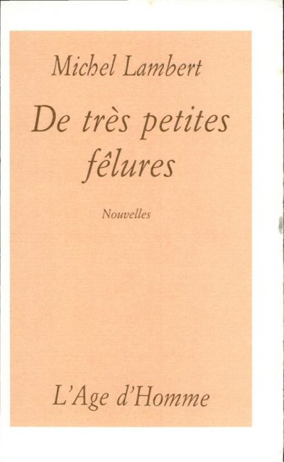 Couverture : De très petites fêlures