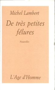 Couverture : De très petites fêlures