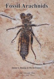 Couverture : Fossil Arachnids