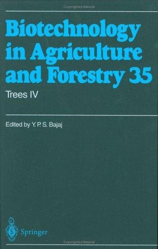 Couverture : Trees IV