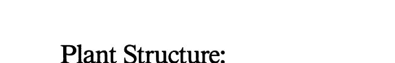 Couverture : Plant Structure: Function and Development