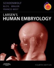 Couverture : Larsen's Human Embryology