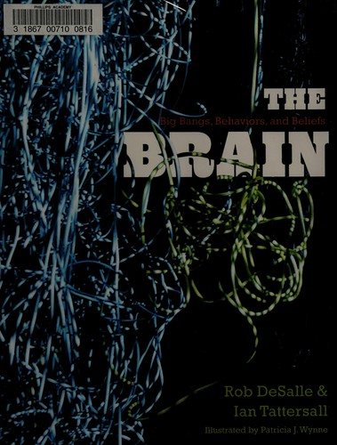 Couverture : The brain