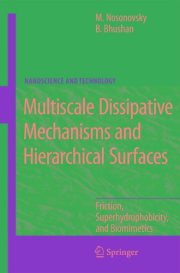Couverture : Multiscale dissipative mechanisms and hierarchical surfaces