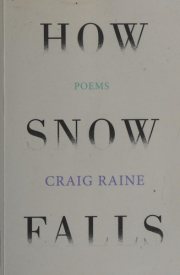 Couverture : How snow falls