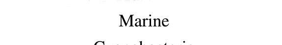 Couverture : Marine cyanobacteria