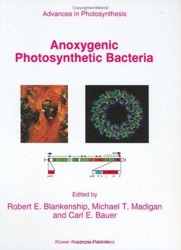 Couverture : Anoxygenic photosynthetic bacteria