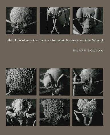 Couverture : Identification guide to the ant genera of the world