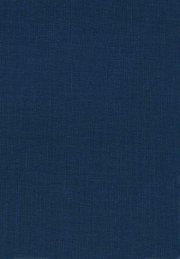 Couverture : The spellbinders