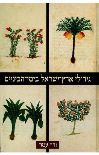 Couverture : Gidule Erets-Yiśraʾel bi-Yeme-ha-Benayim
