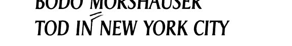 Couverture : Tod in New York City