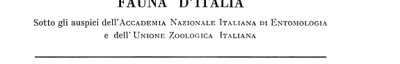 Couverture : Coleoptera
