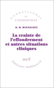 Couverture : La crainte de l'effondrement et autres situations cliniques