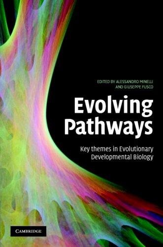 Couverture : Evolving Pathways