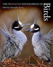 Couverture : The Princeton Encyclopedia Of Birds