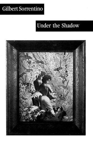 Couverture : Under the shadow