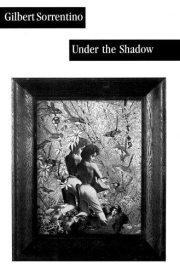 Couverture : Under the shadow