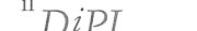 Couverture : Il DiPI