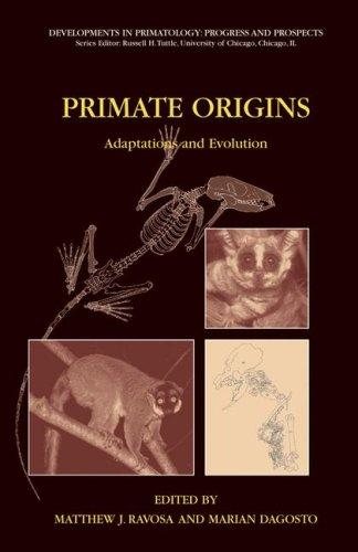 Couverture : Primate origins