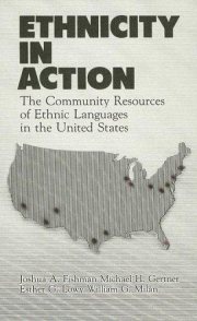 Couverture : Ethnicity in action