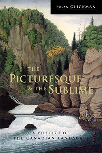 Couverture : The picturesque and the sublime