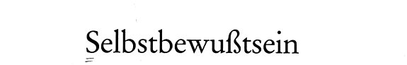Couverture : Selbstbewusstsein und Erfahrung