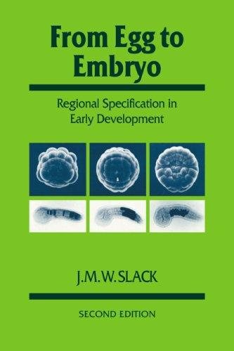 Couverture : From egg to embryo
