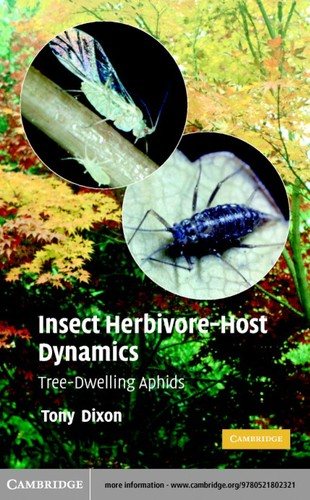 Couverture : Insect herbivore-host dynamics