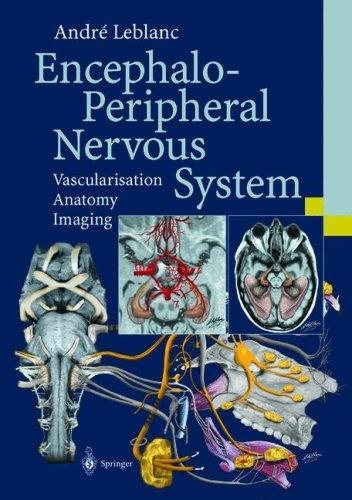 Couverture : Encephalo-Peripheral Nervous System