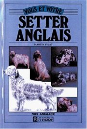 Couverture : Vous et votre setter anglais
