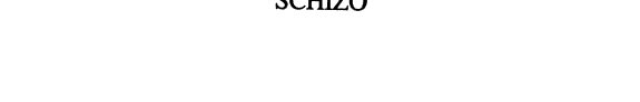 Couverture : Schizo