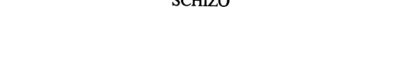 Couverture : Schizo