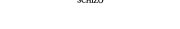 Couverture : Schizo