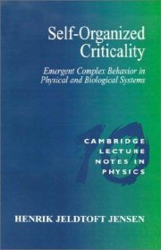 Couverture : Self-organized criticality