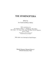 Couverture : The Hymenoptera