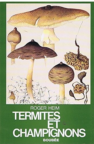 Couverture : Termites et champignons