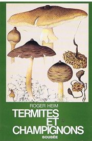 Couverture : Termites et champignons