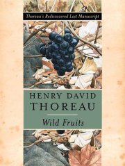 Couverture : Wild fruits