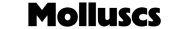 Couverture : Molluscs