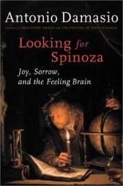 Couverture : Looking for Spinoza