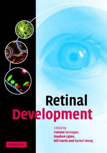 Couverture : Retinal development