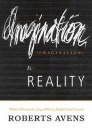 Couverture : Imagination is reality