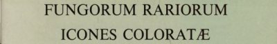 Couverture : Fungorum rariorum icones coloratae. Pars VIII